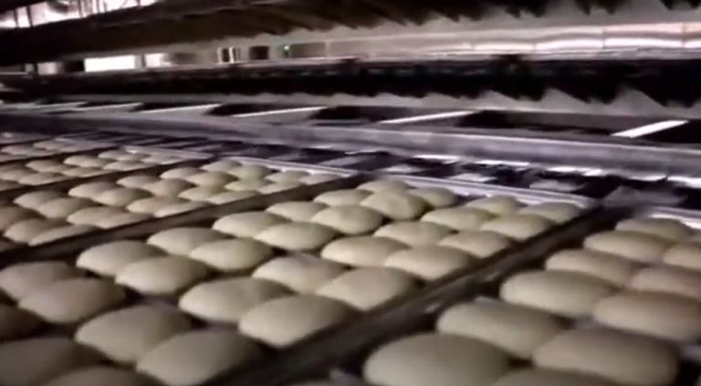 Fermentador gôndula sobre Forno túnel, esteira